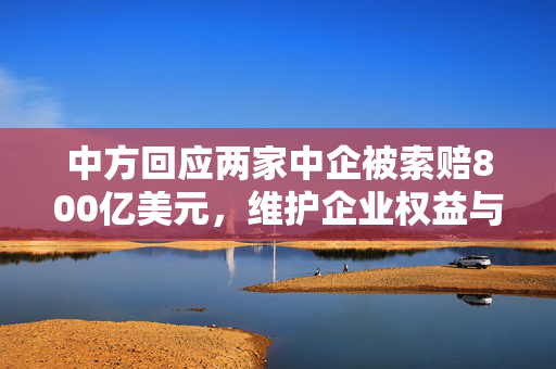 中方回应两家中企被索赔800亿美元，维护企业权益与公平贸易的坚定立场