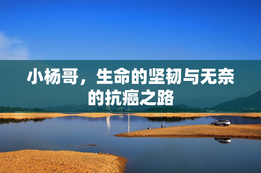 小杨哥，生命的坚韧与无奈的抗癌之路