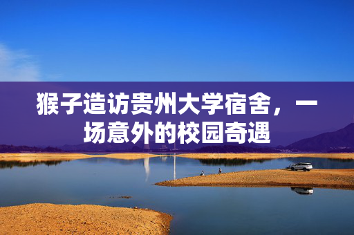 猴子造访贵州大学宿舍，一场意外的校园奇遇