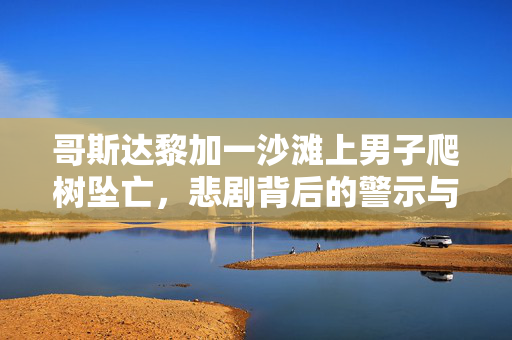 哥斯达黎加一沙滩上男子爬树坠亡，悲剧背后的警示与反思