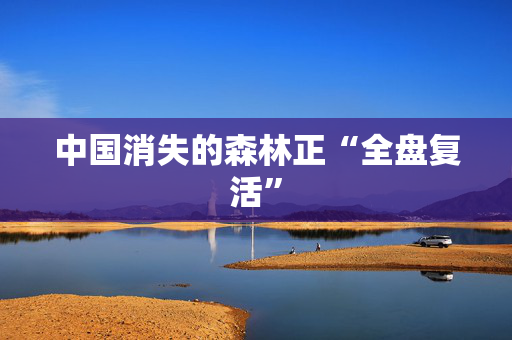 中国消失的森林正“全盘复活”