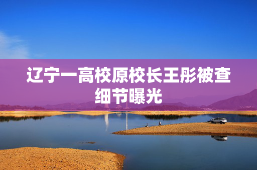 辽宁一高校原校长王彤被查细节曝光