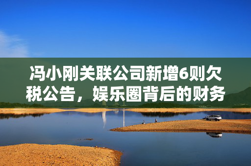 冯小刚关联公司新增6则欠税公告，娱乐圈背后的财务迷雾与责任审视