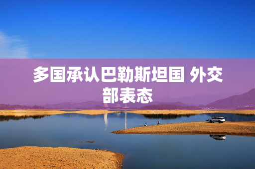 多国承认巴勒斯坦国 外交部表态