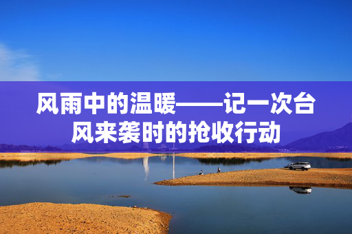 风雨中的温暖——记一次台风来袭时的抢收行动