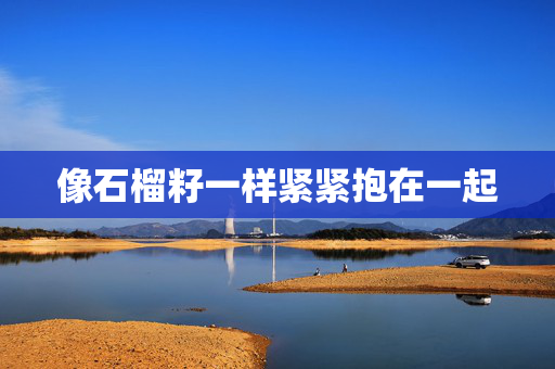 像石榴籽一样紧紧抱在一起