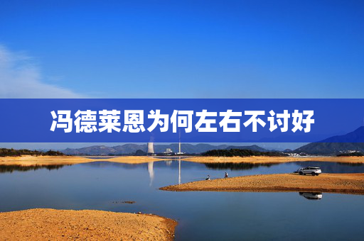 冯德莱恩为何左右不讨好