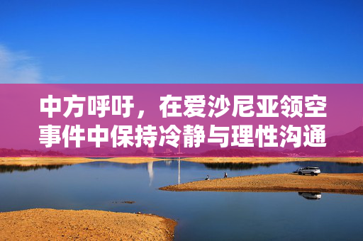 中方呼吁，在爱沙尼亚领空事件中保持冷静与理性沟通