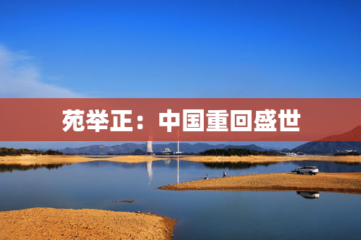 苑举正：中国重回盛世