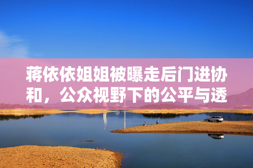 蒋依依姐姐被曝走后门进协和，公众视野下的公平与透明