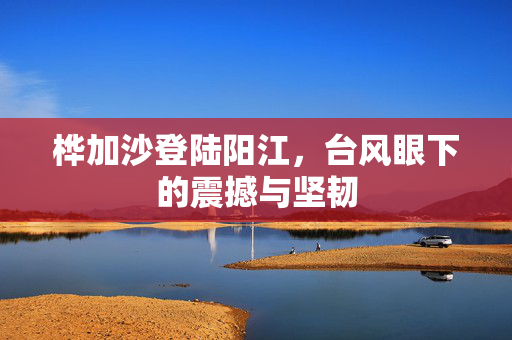 桦加沙登陆阳江，台风眼下的震撼与坚韧