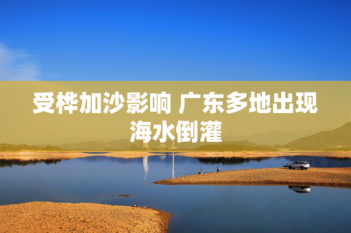 受桦加沙影响 广东多地出现海水倒灌