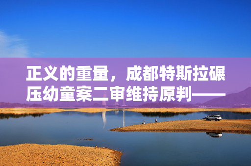 正义的重量，成都特斯拉碾压幼童案二审维持原判——法律与人性光辉的较量