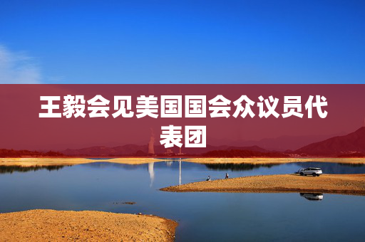 王毅会见美国国会众议员代表团