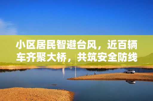 小区居民智避台风，近百辆车齐聚大桥，共筑安全防线