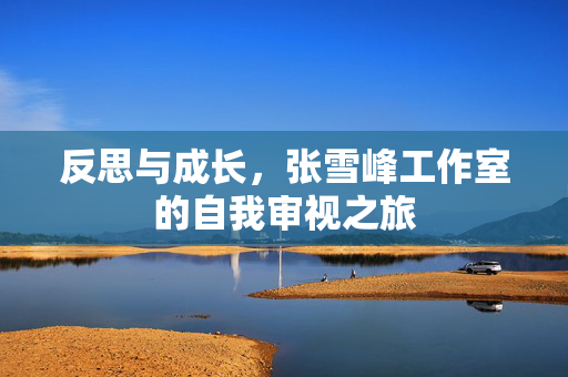 反思与成长，张雪峰工作室的自我审视之旅