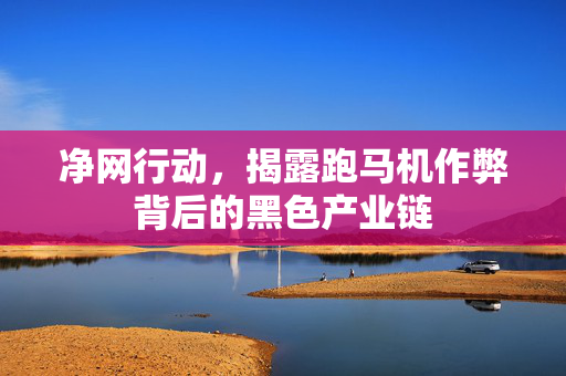 净网行动，揭露跑马机作弊背后的黑色产业链