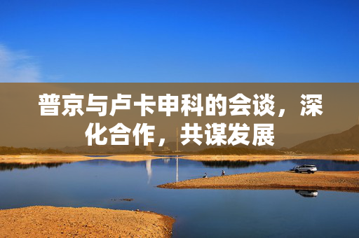 普京与卢卡申科的会谈，深化合作，共谋发展
