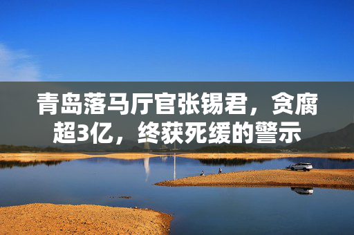 青岛落马厅官张锡君，贪腐超3亿，终获死缓的警示