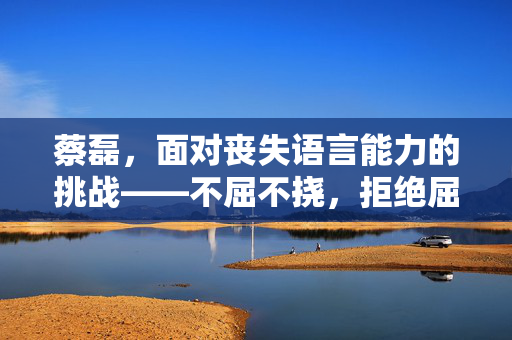 蔡磊，面对丧失语言能力的挑战——不屈不挠，拒绝屈辱等死