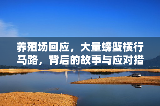 养殖场回应，大量螃蟹横行马路，背后的故事与应对措施