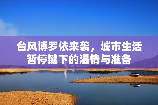 台风博罗依来袭，城市生活暂停键下的温情与准备