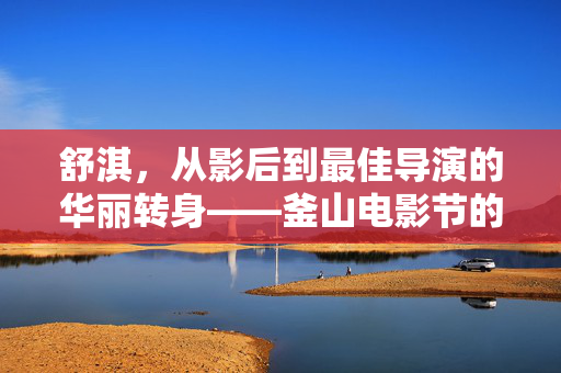 舒淇，从影后到最佳导演的华丽转身——釜山电影节的新篇章