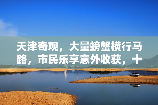 天津奇观，大量螃蟹横行马路，市民乐享意外收获，十斤螃蟹免费捡