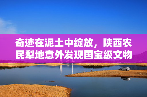 奇迹在泥土中绽放，陕西农民犁地意外发现国宝级文物