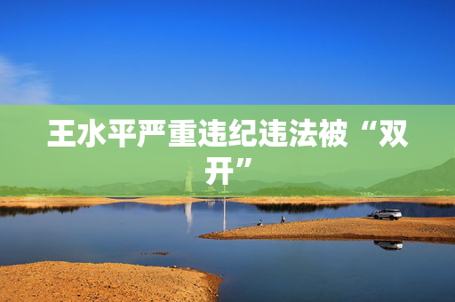 王水平严重违纪违法被“双开”