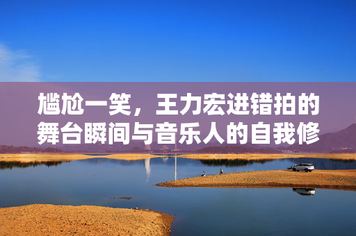 尴尬一笑，王力宏进错拍的舞台瞬间与音乐人的自我修养