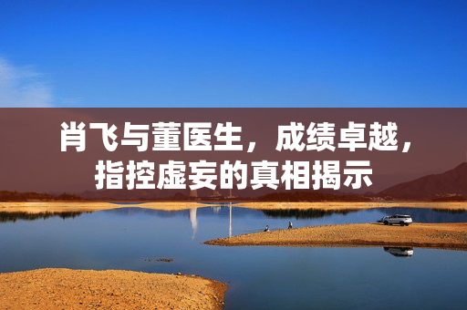 肖飞与董医生，成绩卓越，指控虚妄的真相揭示