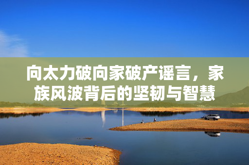 向太力破向家破产谣言，家族风波背后的坚韧与智慧