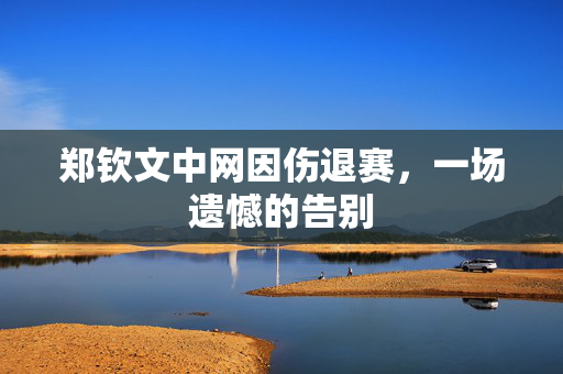 郑钦文中网因伤退赛，一场遗憾的告别