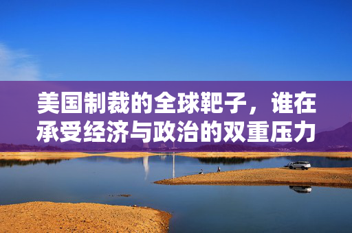 美国制裁的全球靶子，谁在承受经济与政治的双重压力？