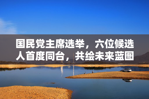 国民党主席选举，六位候选人首度同台，共绘未来蓝图