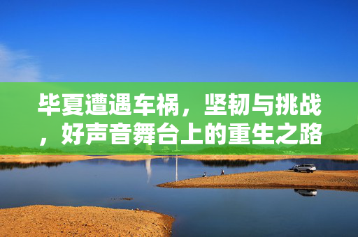 毕夏遭遇车祸，坚韧与挑战，好声音舞台上的重生之路