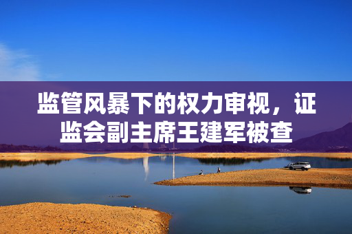 监管风暴下的权力审视，证监会副主席王建军被查