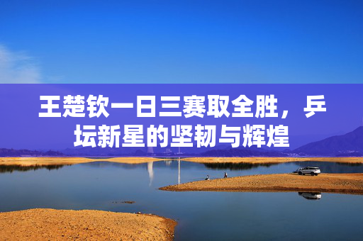 王楚钦一日三赛取全胜，乒坛新星的坚韧与辉煌