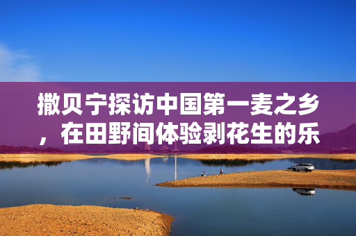 撒贝宁探访中国第一麦之乡，在田野间体验剥花生的乐趣与深意