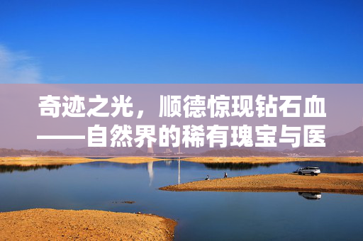 奇迹之光，顺德惊现钻石血——自然界的稀有瑰宝与医学奇观