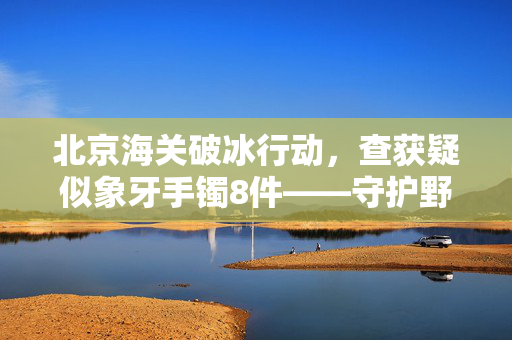 北京海关破冰行动，查获疑似象牙手镯8件——守护野生动物保护的最后防线
