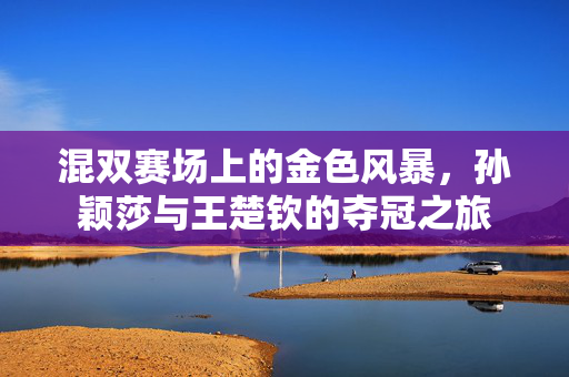 混双赛场上的金色风暴，孙颖莎与王楚钦的夺冠之旅