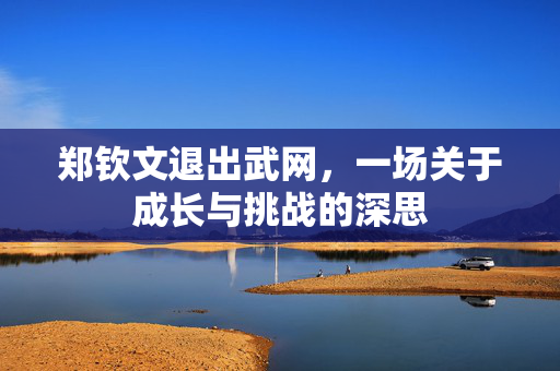 郑钦文退出武网，一场关于成长与挑战的深思