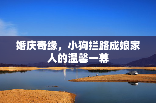 婚庆奇缘，小狗拦路成娘家人的温馨一幕