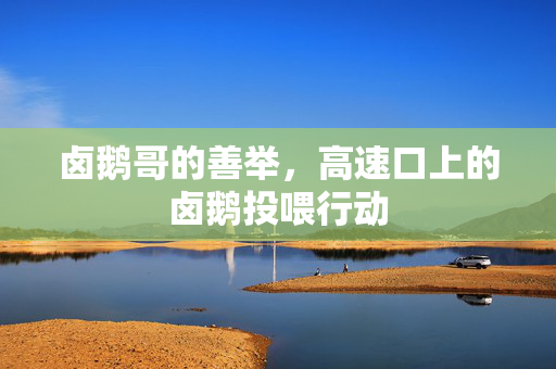 卤鹅哥的善举，高速口上的卤鹅投喂行动