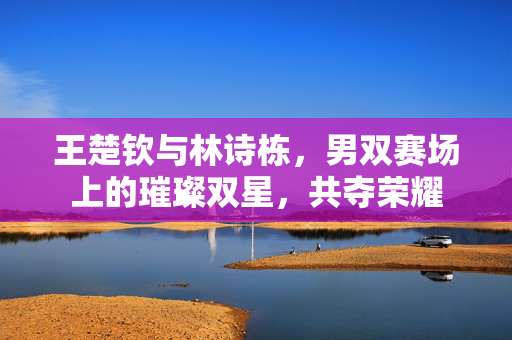 王楚钦与林诗栋，男双赛场上的璀璨双星，共夺荣耀