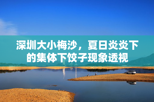 深圳大小梅沙，夏日炎炎下的集体下饺子现象透视