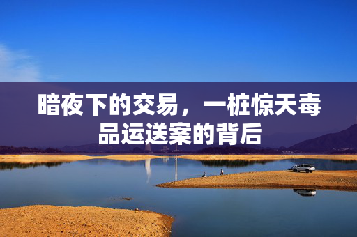 暗夜下的交易，一桩惊天毒品运送案的背后