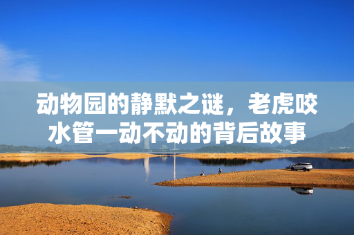 动物园的静默之谜，老虎咬水管一动不动的背后故事